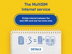 MULTISIM INTERNET SERVICE